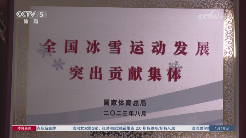 跃入海中
