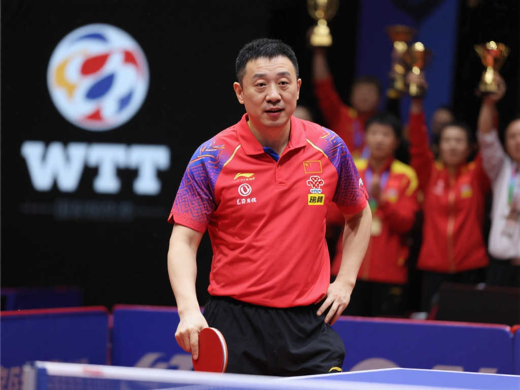 的历史长河 的历史长河